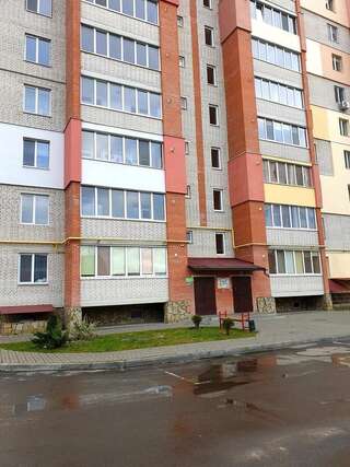 Апартаменты Apartment on Arceulova, 14 Луцк Апартаменты с 1 спальней-22