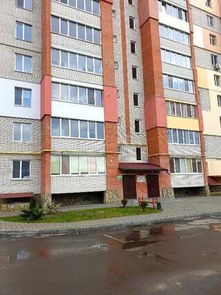 Апартаменты Apartment on Arceulova, 14 Луцк Апартаменты с 1 спальней-43